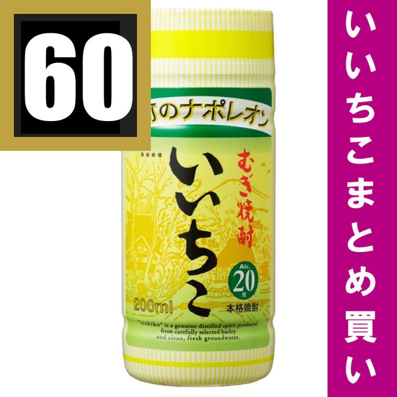 品質が いいちこパック 20度 900ml 大分麦焼酎 送料無料対象外品 12本までは1送料です 発送までに7日ほどかかります 